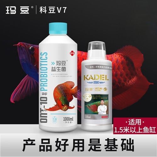 龍魚專用藥什么品牌好一點