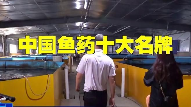 龍魚專用藥什么品牌好一點