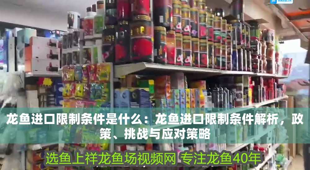 龍魚進口限制條件是什么：龍魚進口限制條件解析，政策、挑戰(zhàn)與應對策略 龍魚進口限制條件是什么：龍魚進口限制條件解析，政策、挑戰(zhàn)與應對策略 龍魚百科 第1張