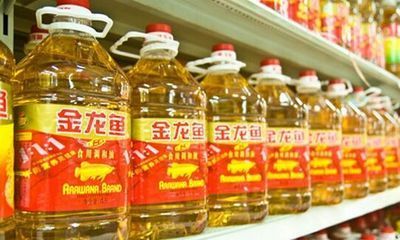 金龍魚用地溝魚好嗎：金龍魚使用地溝油事件對金龍魚品牌形象和消費者信任造成嚴重影響 金龍魚用地溝魚好嗎：金龍魚使用地溝油事件對金龍魚品牌形象和消費者信任造成嚴重影響 龍魚百科 第1張