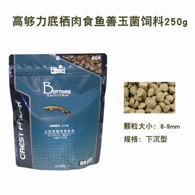 女王大帆魚苗飼料品牌推薦（北京觀賞魚批發市場評價女王大帆魚苗專用飼料成分） 女王大帆魚苗飼料品牌推薦（北京觀賞魚批發市場評價女王大帆魚苗專用飼料成分） 龍魚百科 第3張