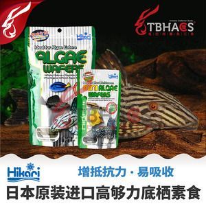 女王大帆魚苗飼料品牌推薦（北京觀賞魚批發市場評價女王大帆魚苗專用飼料成分） 女王大帆魚苗飼料品牌推薦（北京觀賞魚批發市場評價女王大帆魚苗專用飼料成分） 龍魚百科 第1張