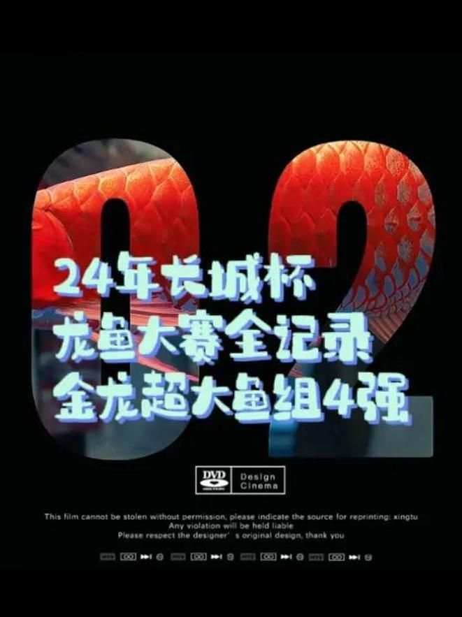 金皇紅龍金龍專用賽