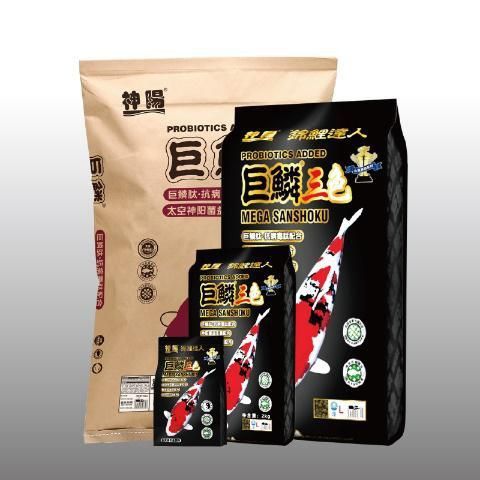 金皇紅龍金龍專用賽