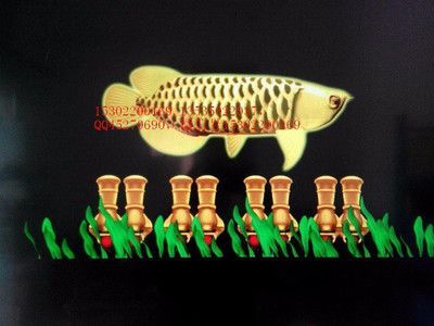 金龍魚馬蹄印是不是不好賣【金龍魚帶有馬蹄印的金龍魚價(jià)格會(huì)降嗎？】