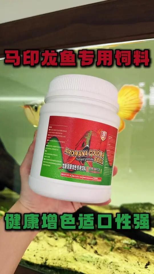 有哪些增色飼料適合紅龍魚？