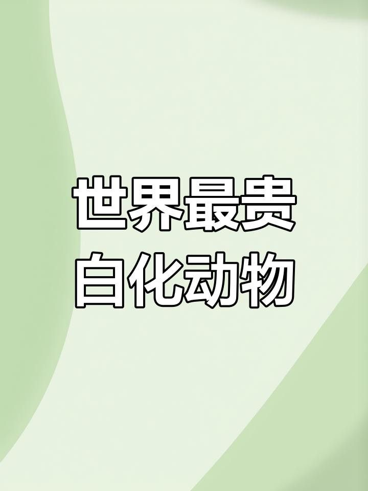 白化龍魚為什么能賣到200萬？