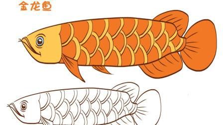金龍魚的畫法簡筆畫