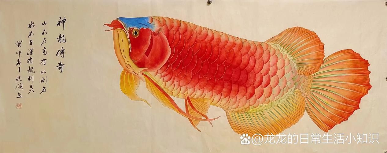 金龍魚的畫法簡筆畫