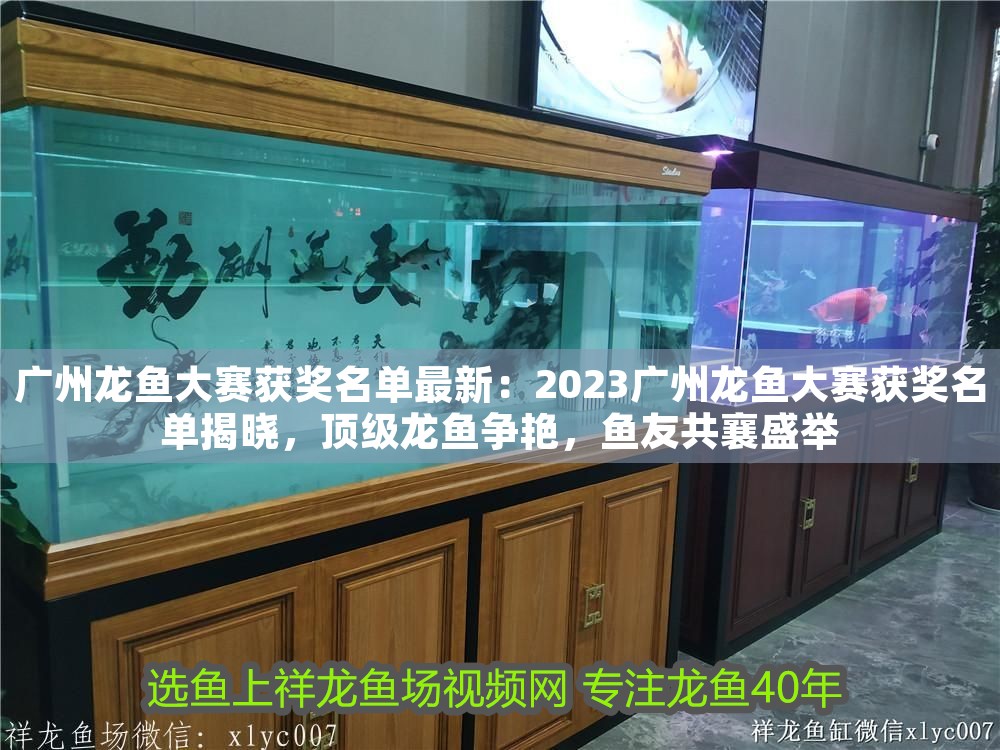 廣州龍魚(yú)大賽獲獎(jiǎng)名單最新：2023廣州龍魚(yú)大賽獲獎(jiǎng)名單揭曉，頂級(jí)龍魚(yú)爭(zhēng)艷，魚(yú)友共襄盛舉
