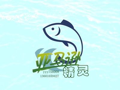 綠皮皇冠豹魚飼料品牌推薦（綠皮皇冠豹魚增色飼料選擇）