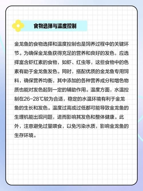 金龍魚這種魚好養嗎圖片 金龍魚這種魚好養嗎圖片 龍魚百科 第30張
