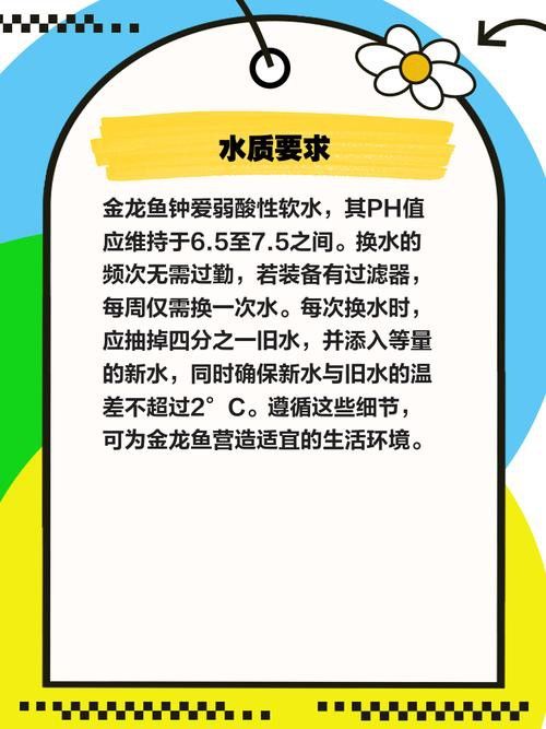 金龍魚這種魚好養嗎圖片 金龍魚這種魚好養嗎圖片 龍魚百科 第35張