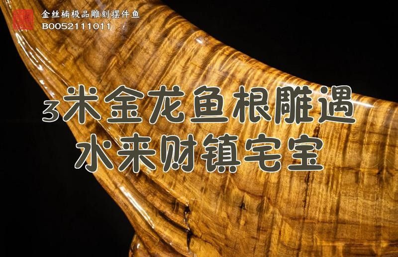 龍魚木雕有哪些收藏價(jià)值？ 龍魚木雕有哪些收藏價(jià)值？ 龍魚百科 第12張
