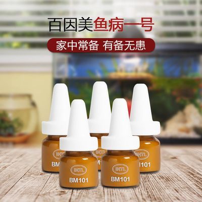 龍魚進口多少錢一條啊圖片大全：龍魚的進口價格是多少