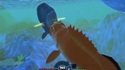 龍魚不吃東西會(huì)餓死嗎：龍魚不吃東西會(huì)餓死