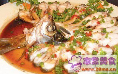 龍魚之家魚缸玻璃計算器：魚缸玻璃計算器的基本概念 龍魚之家魚缸玻璃計算器：魚缸玻璃計算器的基本概念 龍魚百科 第2張