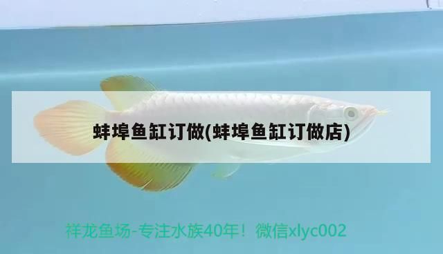 蚌埠魚(yú)缸訂做(蚌埠魚(yú)缸訂做店) 蚌埠魚(yú)缸訂做(蚌埠魚(yú)缸訂做店) 龍魚(yú)百科
