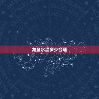 金龍魚最低水溫多少合適：金龍魚水溫驟降應(yīng)急措施