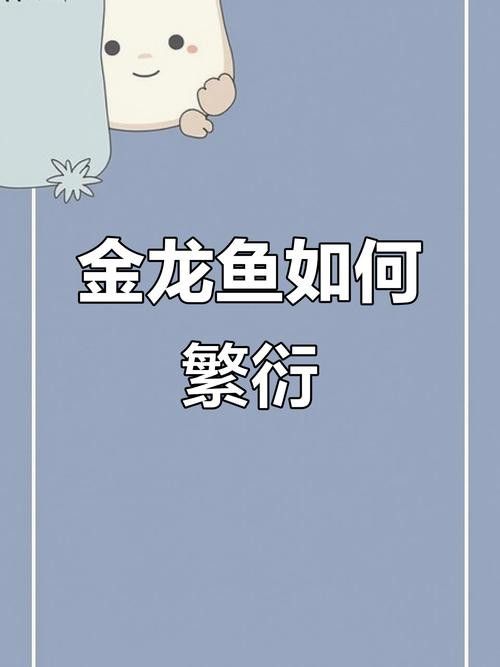 下龍魚的圖片