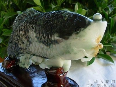 飯店招財金龍魚嘴朝哪面：飯店招財金龍魚嘴朝哪面的一些基本指導原則