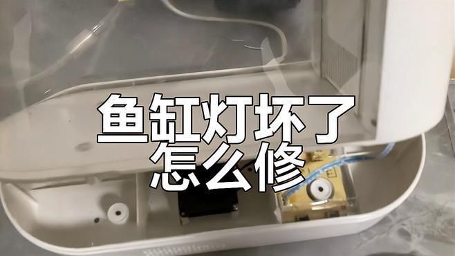 馬印魚缸照明燈亮了的原因和解決方案