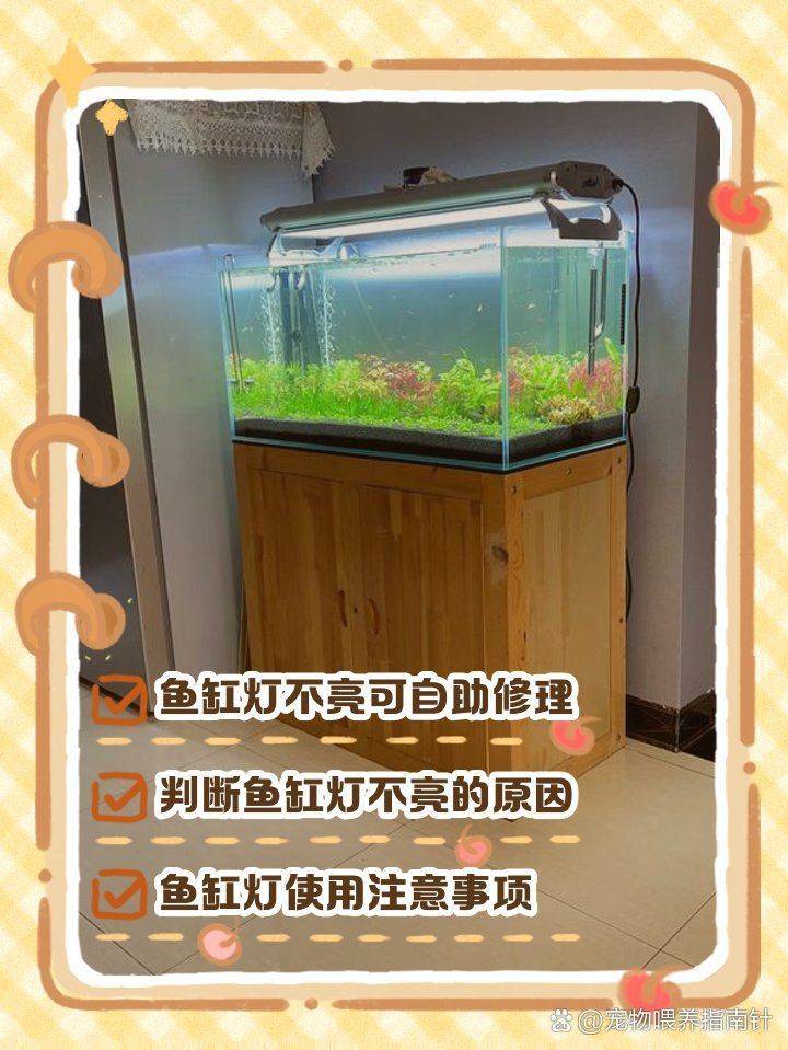 馬印魚缸照明燈亮了的原因和解決方案