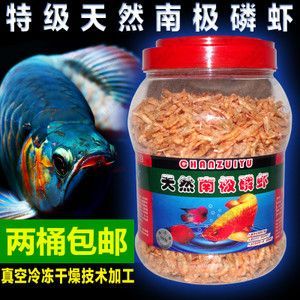 龍魚可以和鯊魚一起飼養嗎：龍魚可以和鯊魚混養嗎？