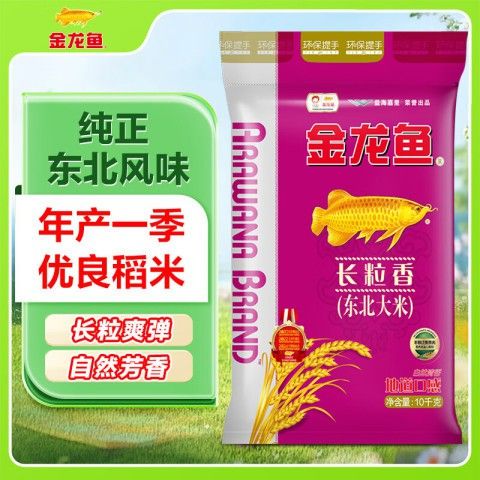 這些金龍魚的價格是多少？ 這些金龍魚的價格是多少？ 龍魚百科 第1張