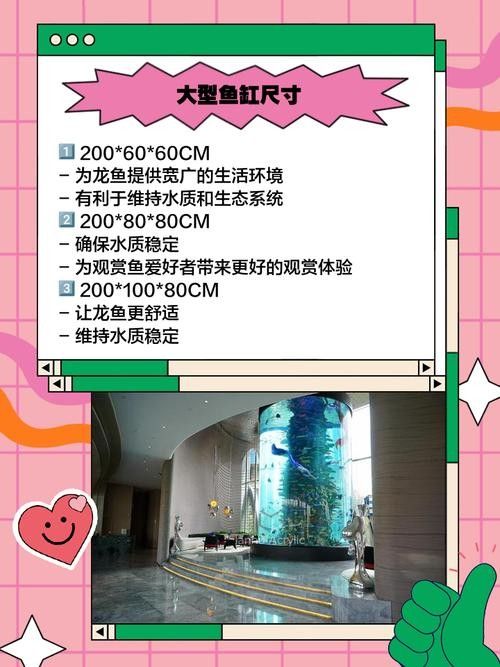 銀龍魚的養(yǎng)法和注意事項(xiàng)圖片