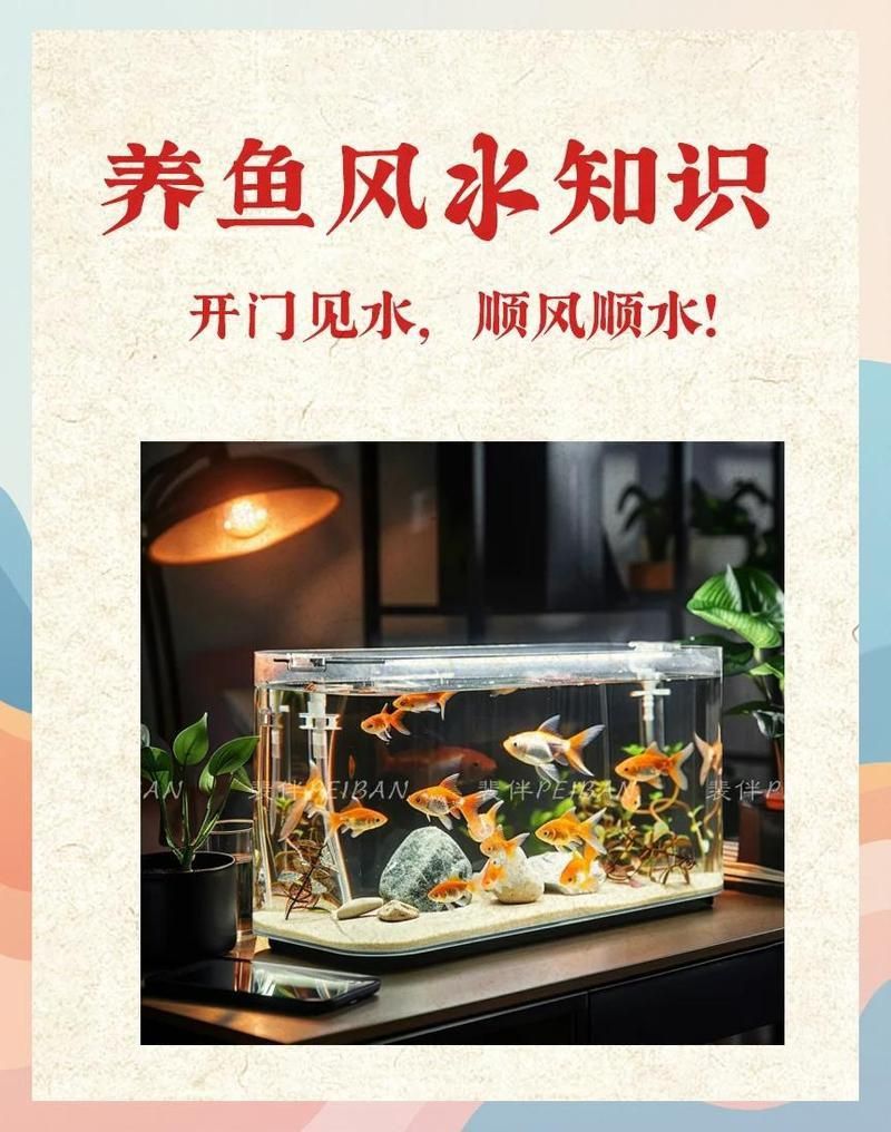 風(fēng)水魚顏色