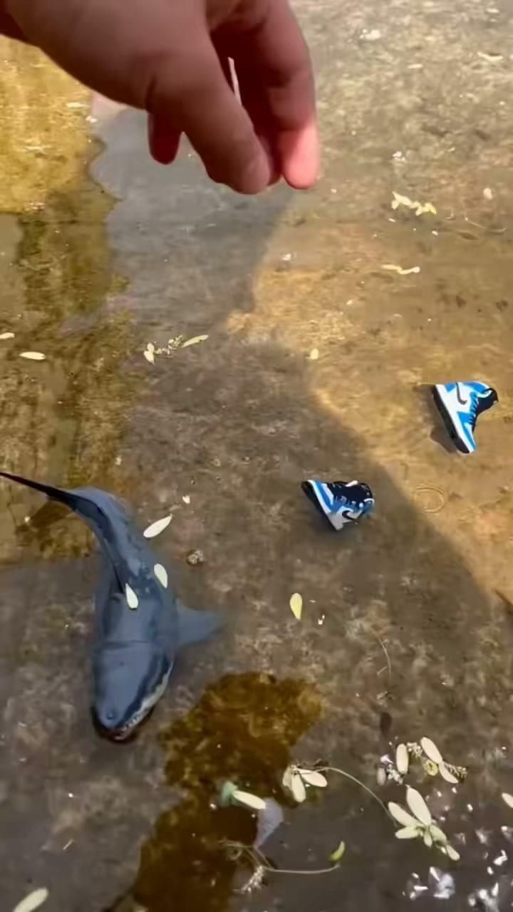 耐克鯊魚山海經