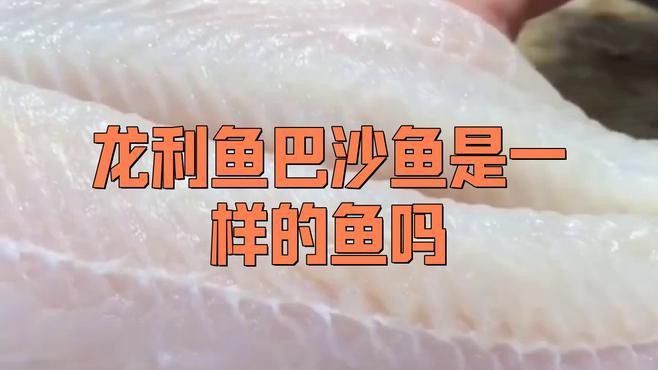 巴沙魚片和龍魚的區別在哪 巴沙魚片和龍魚的區別在哪 龍魚百科 第13張
