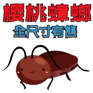 可以和龍魚一起養(yǎng)的龜：烏龜與龍魚一起養(yǎng)的注意事項