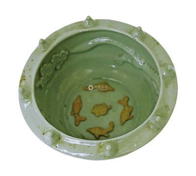 可以和龍魚一起養(yǎng)的龜：烏龜與龍魚一起養(yǎng)的注意事項