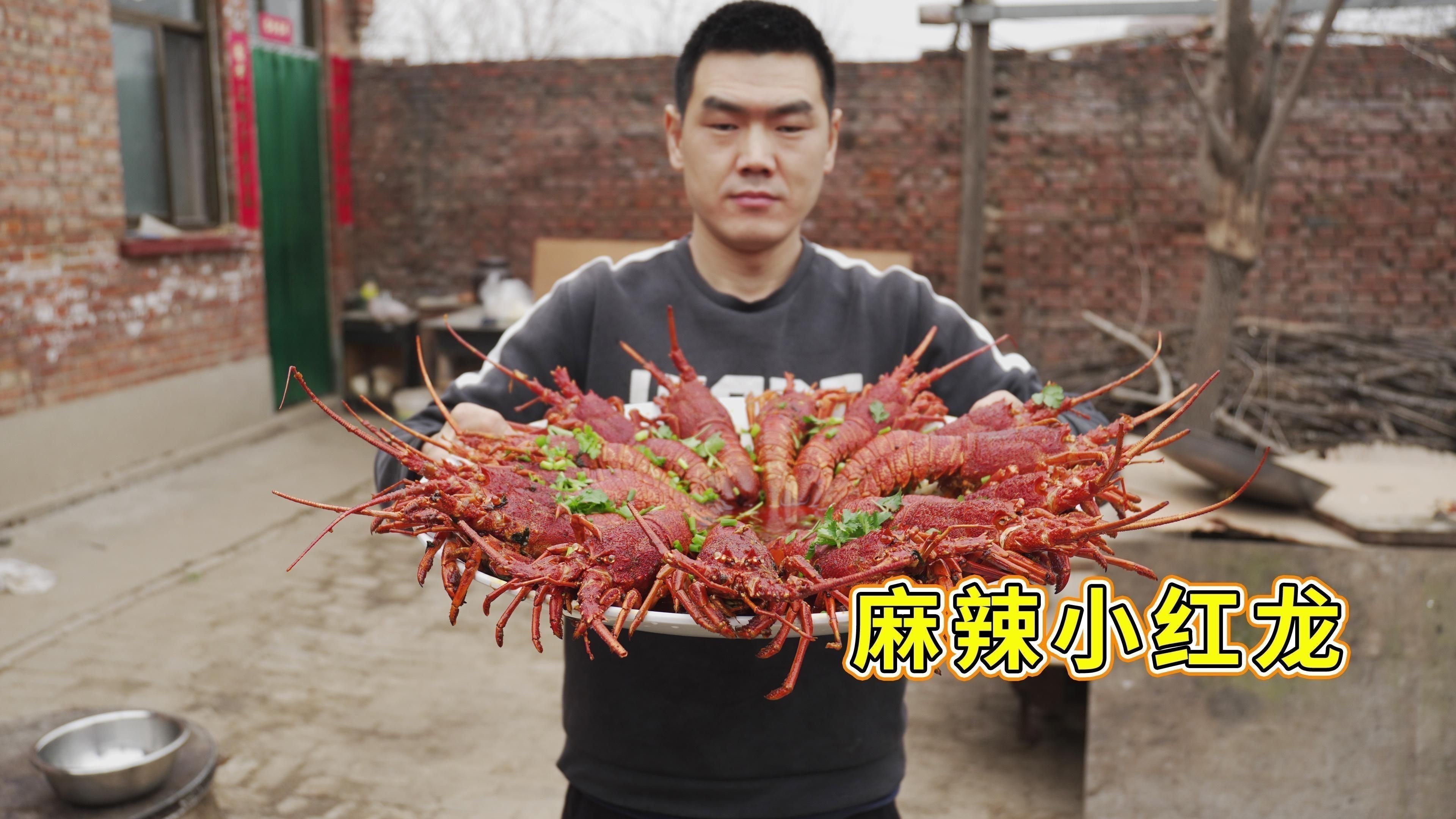 馬拉小紅龍最簡單三個步驟 龍魚百科 第2張 馬拉小紅龍最簡單三個步驟 馬拉小紅龍最簡單三個步驟 龍魚百科 第2張