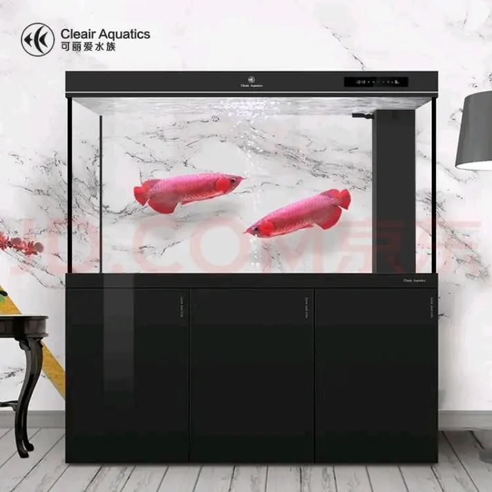 可麗愛魚缸顯示屏圖解 可麗愛魚缸顯示屏圖解 龍魚百科 第12張