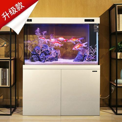 可麗愛魚缸顯示屏圖解 可麗愛魚缸顯示屏圖解 龍魚百科 第14張