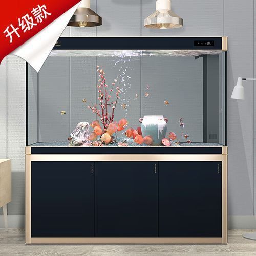 可麗愛魚缸顯示屏圖解 可麗愛魚缸顯示屏圖解 龍魚百科 第15張