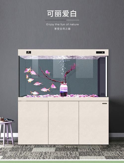 可麗愛魚缸顯示屏圖解 可麗愛魚缸顯示屏圖解 龍魚百科 第19張