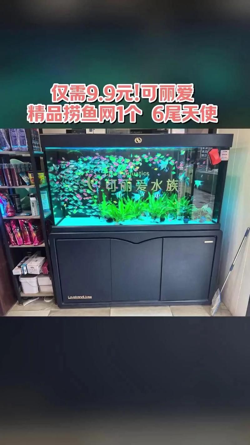 可麗愛魚缸顯示屏圖解 可麗愛魚缸顯示屏圖解 龍魚百科 第22張