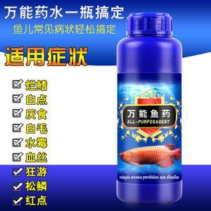 龍魚水霉可以用祥龍萬能藥水嗎（祥龍萬能藥水可以治療龍魚水霉病嗎） 龍魚水霉可以用祥龍萬能藥水嗎（祥龍萬能藥水可以治療龍魚水霉病嗎） 龍魚百科 第4張