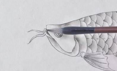 畫金龍魚的簡單方法：在尋找簡單的方法來畫金龍魚時