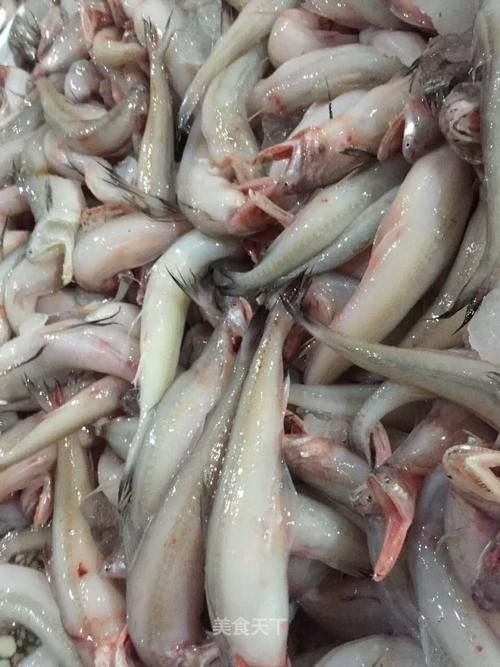 白龍魚好吃嗎