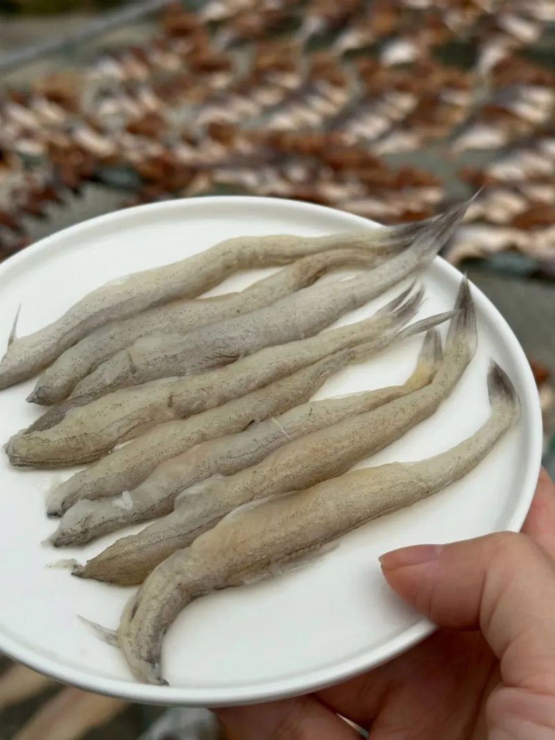 白龍魚好吃嗎