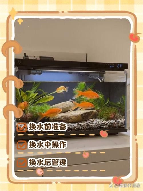 龍魚單側掉眼最簡單的恢復方法圖解 龍魚單側掉眼最簡單的恢復方法圖解 龍魚百科 第18張