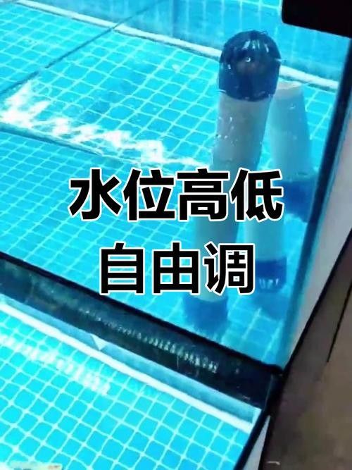 龍魚單側掉眼最簡單的恢復方法圖解 龍魚單側掉眼最簡單的恢復方法圖解 龍魚百科 第10張