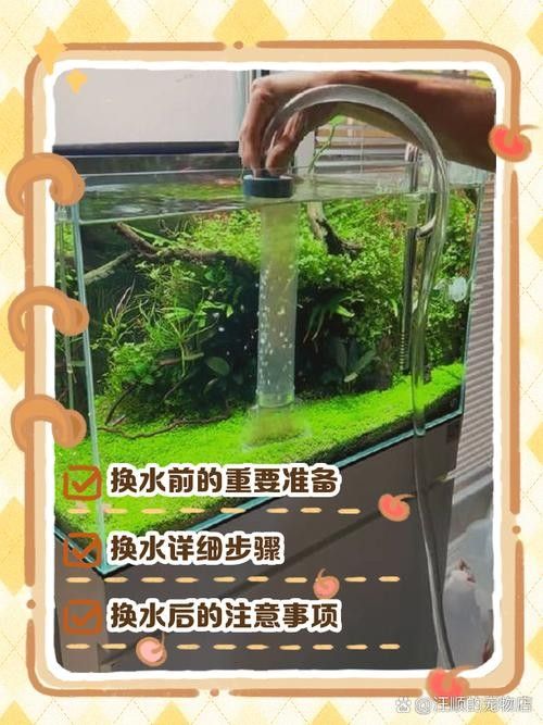 龍魚單側掉眼最簡單的恢復方法圖解 龍魚單側掉眼最簡單的恢復方法圖解 龍魚百科 第19張