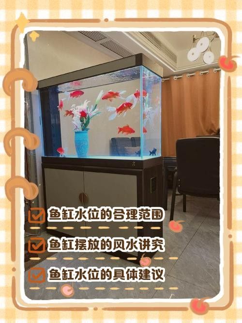 龍魚單側掉眼最簡單的恢復方法圖解 龍魚單側掉眼最簡單的恢復方法圖解 龍魚百科 第16張