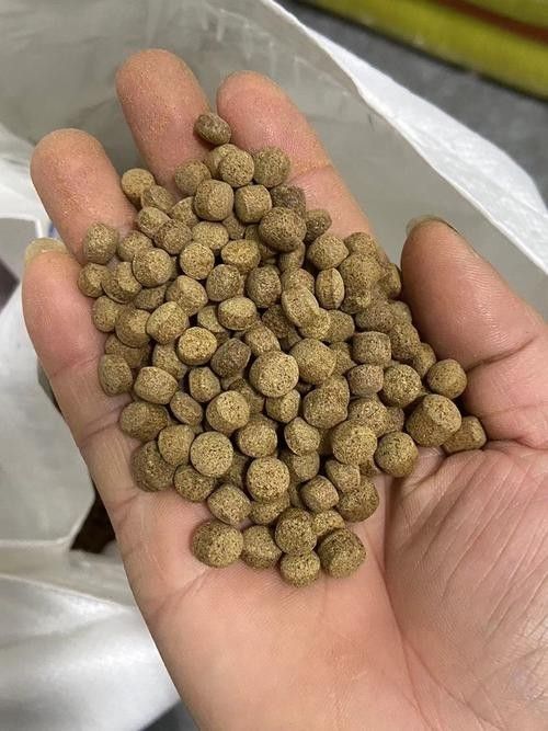 龍魚單側掉眼最簡單的恢復方法圖解 龍魚單側掉眼最簡單的恢復方法圖解 龍魚百科 第31張